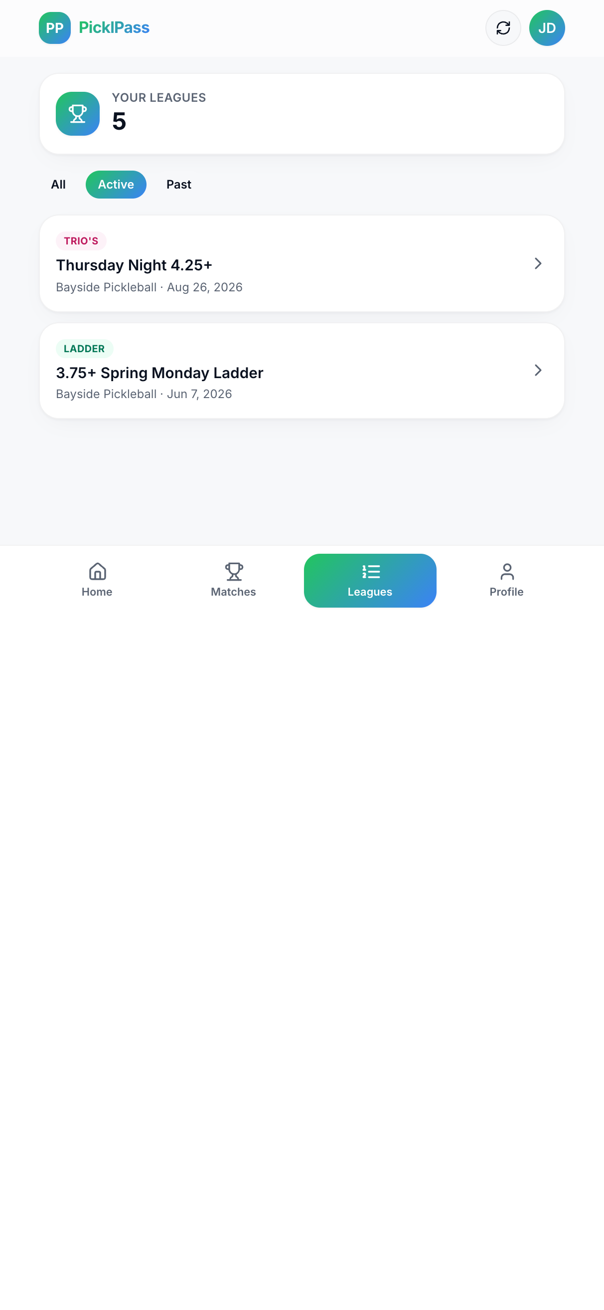 Player portal leagues tab across every club